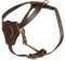 Dog Harness for Small Dogs and Puppy