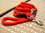 Cord Nylon Dog Leash for Walking and Training