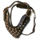 Large leather dog harness with studs for Large Dog Breeds