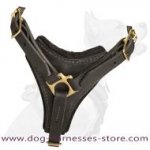 Tracking Walking leather dog harness to fit Siberian Husky