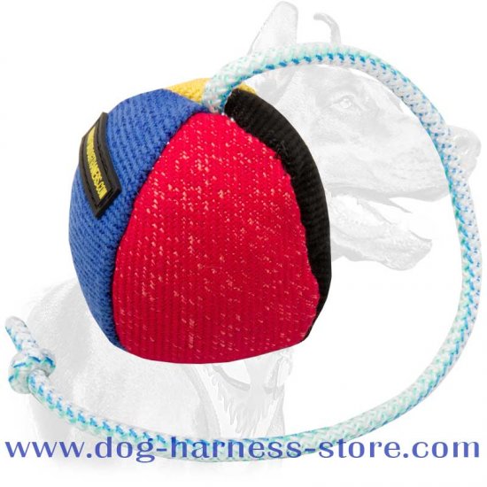 4 1/3 Inches in Diameter Fabric Dog Training Ball on String