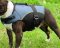 Boxer Dog Vest-Dog Coat with Handle