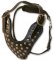 Studded Leather Dog Harness - Padded leather dog harness