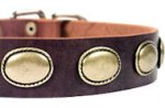 High Quality Leather Dog Collar for Dog