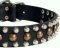 Custom Studded Leather Dog Collar for Every Day Working Dogs