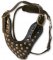 Adjustable Studded 2-Ply Latigo Harness for DOG