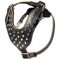 Studded Leather Dog Harness with Pyramids - Custom Dog Harness