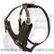 Chinese Shar-Pei Exclusive Handcrafted Leather Dog Harness