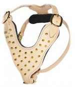 Leather Spiked Dog Harness - Bright Spiked Padded Dog Harness