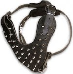 BUY Medium Top Black/Brown Spiked Leather Dog Harness