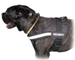 Walking Reflective Nylon Harnss for Cane Corso