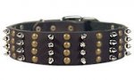 All dogs Spike Studded Collar 2 2/5 inch wide Leather Studs collar