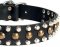 Leather Dog Collars with Studs for DOG