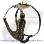 Akita Inu Royal Dog Harness - Exclusive Studded Leather Harness