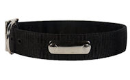 Performance 2 Ply Nylon Dog Collar w/h name tag/Metal Buckle