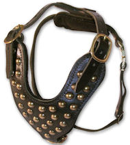 Adjustable Studded 2-Ply Latigo Harness for DOG