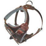 agitation, protection, attack dog harness