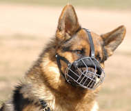Wire Basket Dog Muzzle