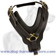 Boxer Exclusive Handcrafted Padded Leather Dog Harness