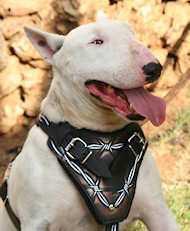 Bull Tterrier Design leather dog harness- Hand painted harness