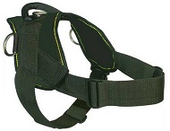Comfort Wrap Adjustable Dog Harness for walking dogs