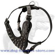 Doberman Pinscher Spiked leather Dog Harness