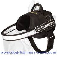 Multifunctional Nylon Harness with ID Patches for All Breeds
