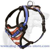 Handcrafted Leather Harness for Training and Walking with Exclusive Pattern