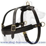 Leather Training Dog Harness for Pulling/Tracking Work