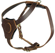Dog Harness for Small Dogs and Puppy