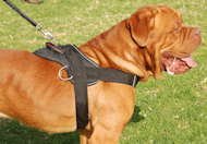 nylon dog harness for dogue de bordeaux with handle