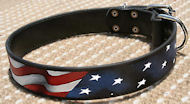 American Flag Dog Collar for Casual Walking