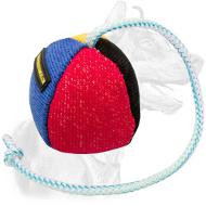 4 1/3 Inches in Diameter Fabric Dog Training Ball on String