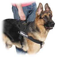 Better Control Everyday Nylon Dog Harness for German Shepherd
