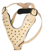 Leather Spiked Dog Harness - Bright Spiked Padded Dog Harness