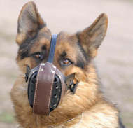 leather dog muzzle