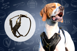 Leather Dog Harness