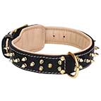 Leather Collar with Two Rows of Awesome Brass Spikes Leather Collar with Two Rows of Awesome Brass Spikes
