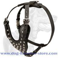 Walking Leather Dog Harness with Padded Y-shaped Chest Plate and Stunning Studs