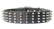 2 inch Wide Leather Spiked Dog Collar for Every Day Walking