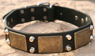 Handmade Leather Dog Collar- brass massive + 2 pyramids