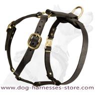 Labrador Retriever Luxury Handcrafted Dog Harness