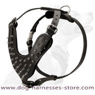 British Bulldog Spiked Dog Harness