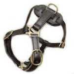 leather dog harness