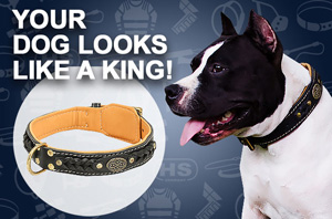 Leather dog collar