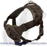 All-Weather Nylon Dog Harness with Wide Chest Plate