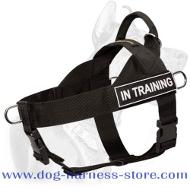 Working Nylon Harness with ID Patches for All Breeds