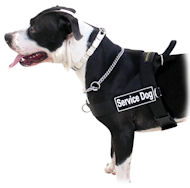 K9 Service Dog Harness for Pitbull