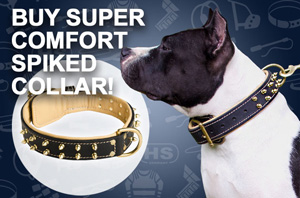 Leather dog collar
