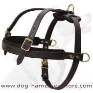 Golden Retriever Pulling/Tracking Leather Dog Harness